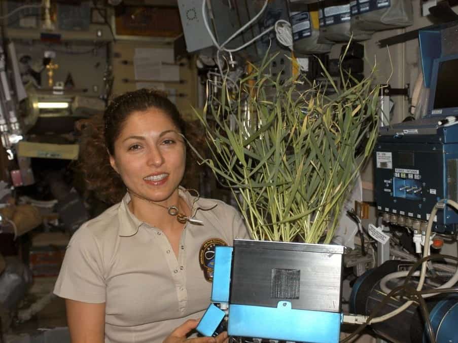 Anousheh Ansari, touriste spatiale à bord de l'ISS.